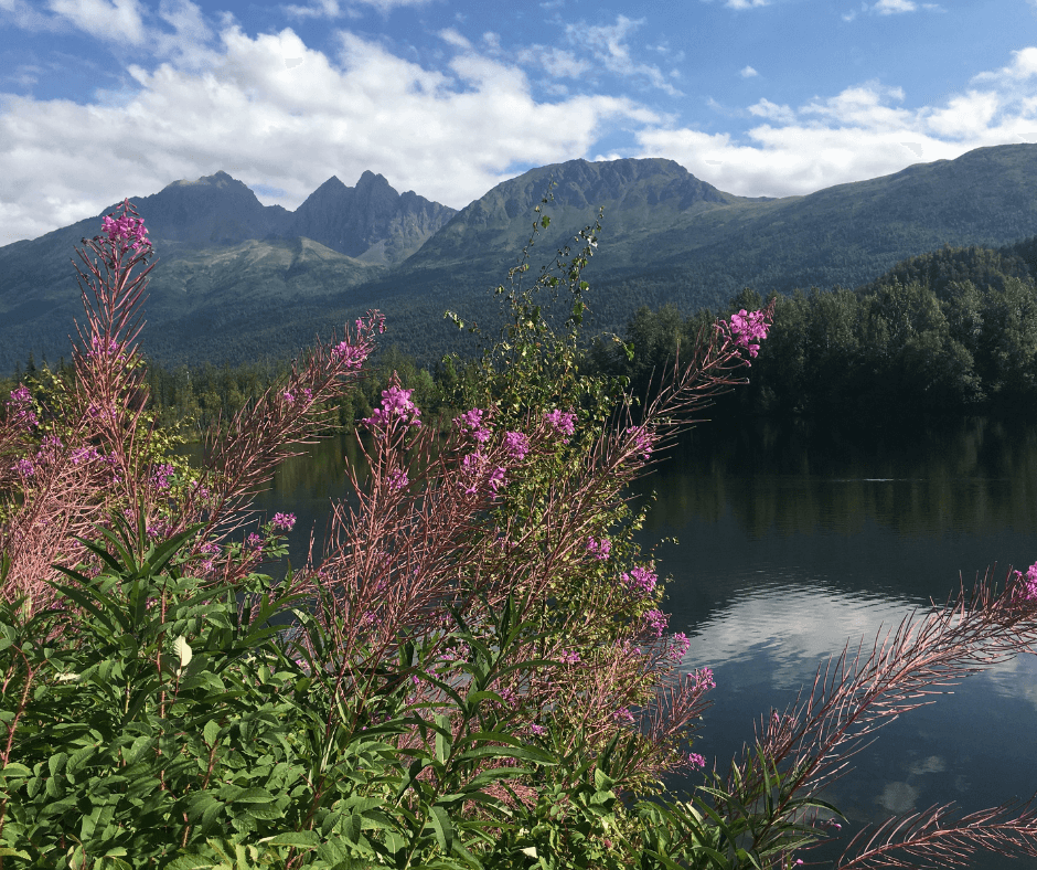 RIFLESSIONI-DI-UNA-NATUROPATA-1